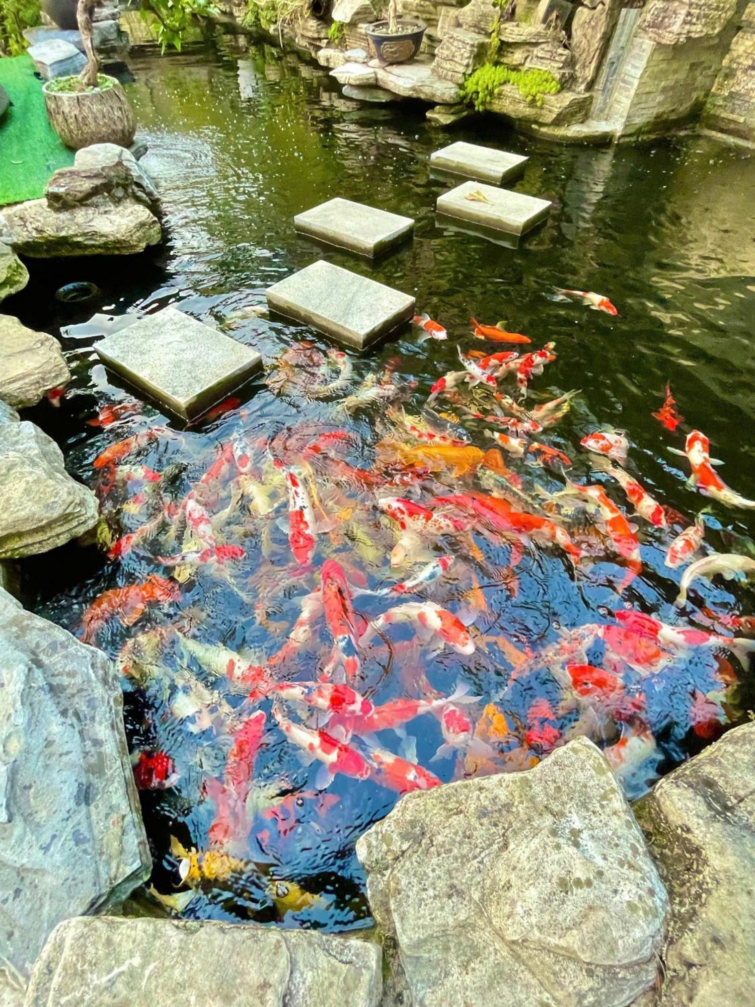 Chuon Chuon Villa Homestay Tam Ðảo Exteriör bild